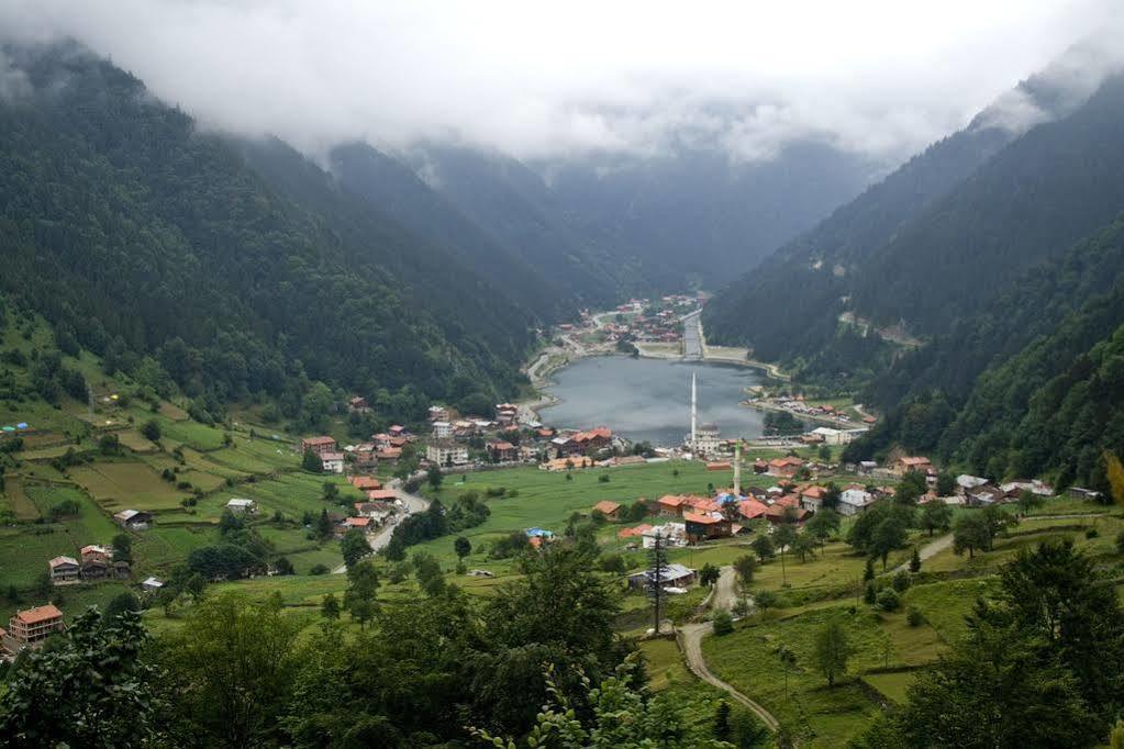 Kusva Apart Uzungöl Dış mekan fotoğraf